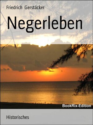 cover image of Negerleben